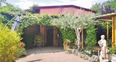 Dettagli